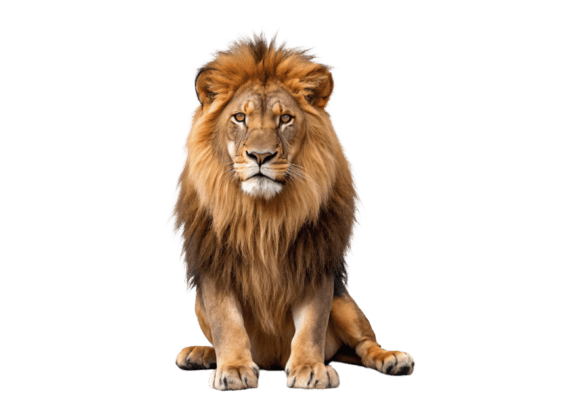 Download A Lion with a Mane 3d Animated Cartoon - Art Collection