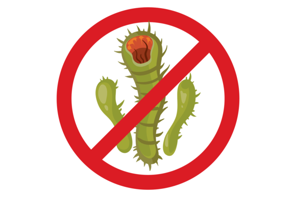Download Anti Germ Symbol. Infection Alert Red Si - Red Collection