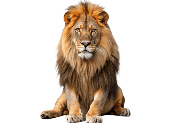 Download 3d Animated Cartoon Lion - Art Collection